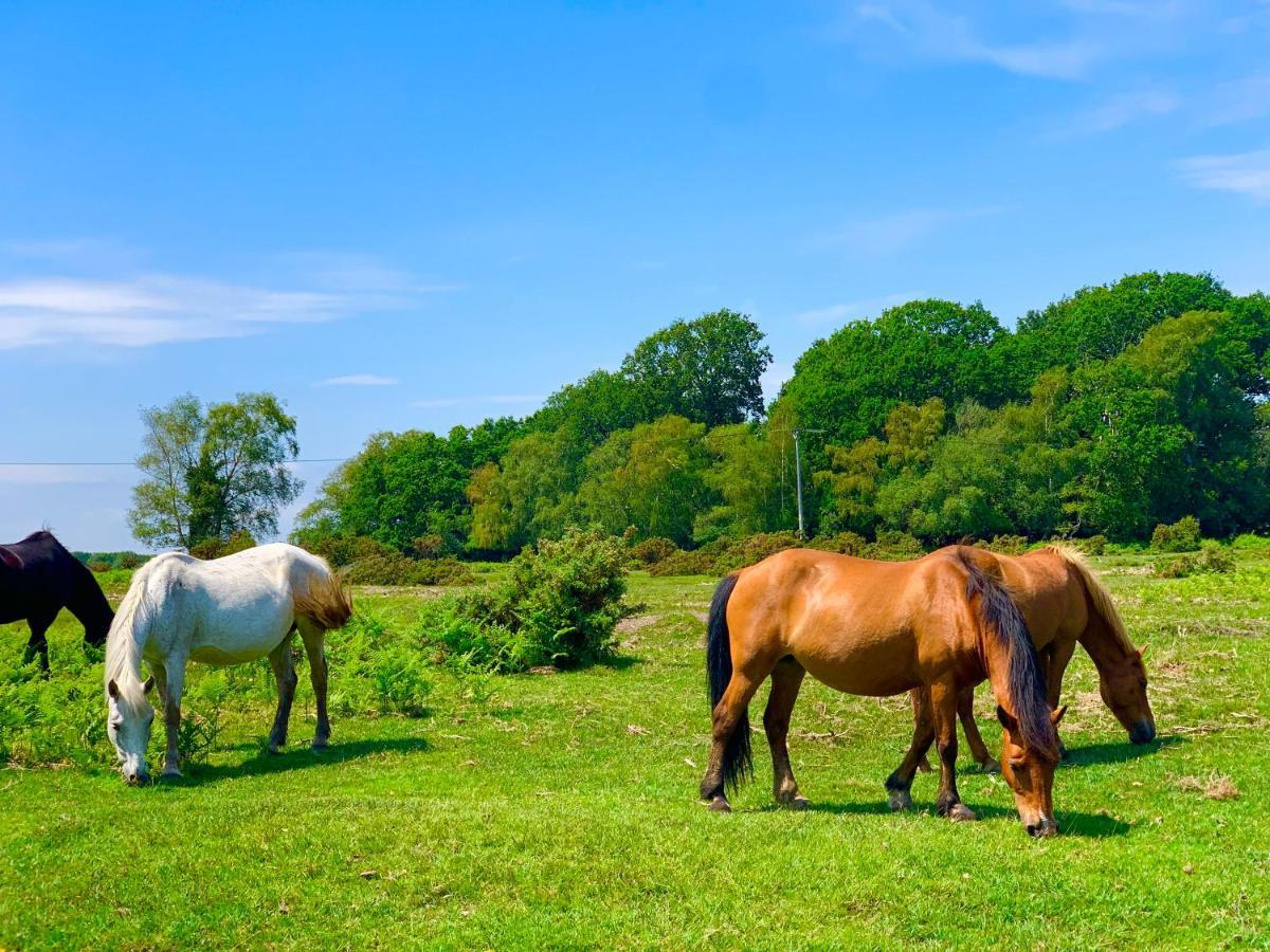Forest Haven Sway Dış mekan fotoğraf