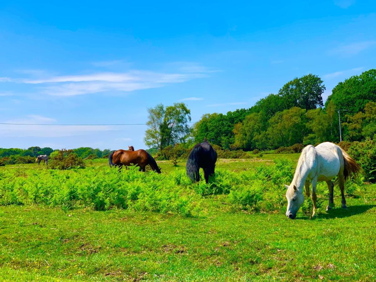 Forest Haven Sway Dış mekan fotoğraf