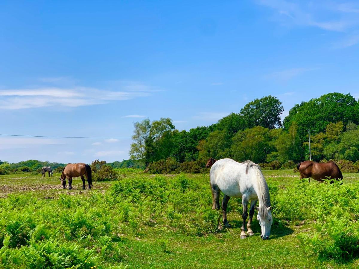 Forest Haven Sway Dış mekan fotoğraf