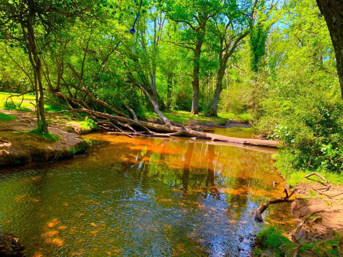 Forest Haven Sway Dış mekan fotoğraf