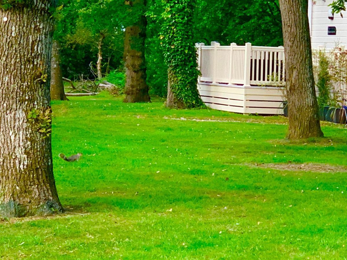 Forest Haven Sway Dış mekan fotoğraf
