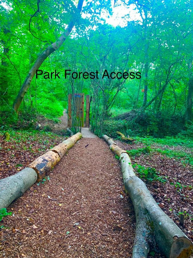Forest Haven Sway Dış mekan fotoğraf