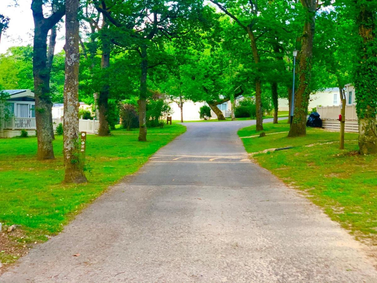 Forest Haven Sway Dış mekan fotoğraf