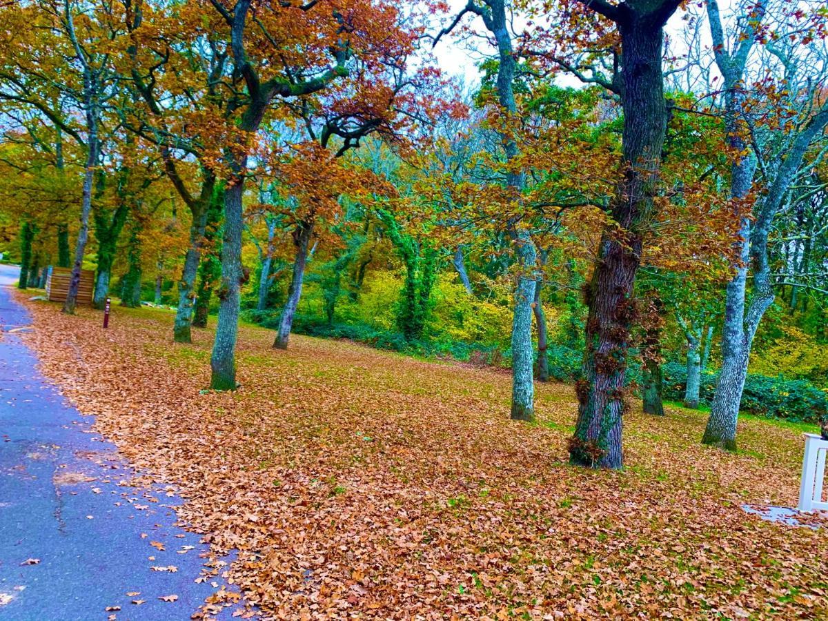 Forest Haven Sway Dış mekan fotoğraf