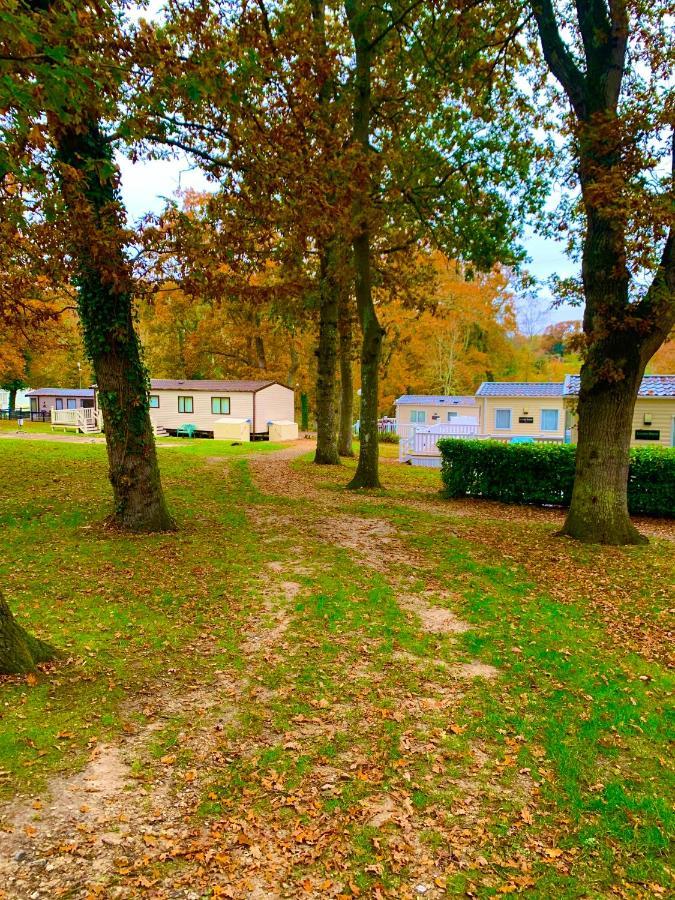 Forest Haven Sway Dış mekan fotoğraf