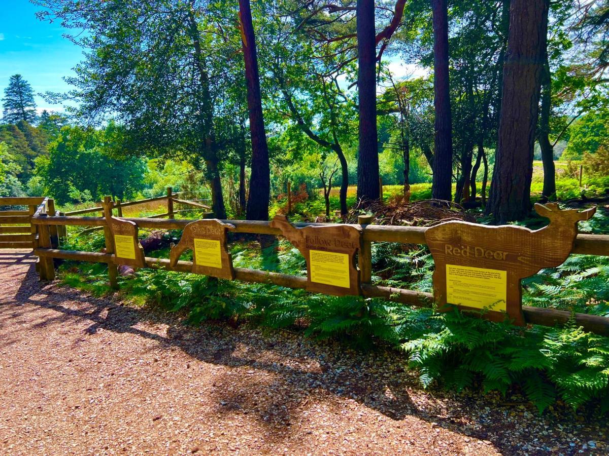Forest Haven Sway Dış mekan fotoğraf