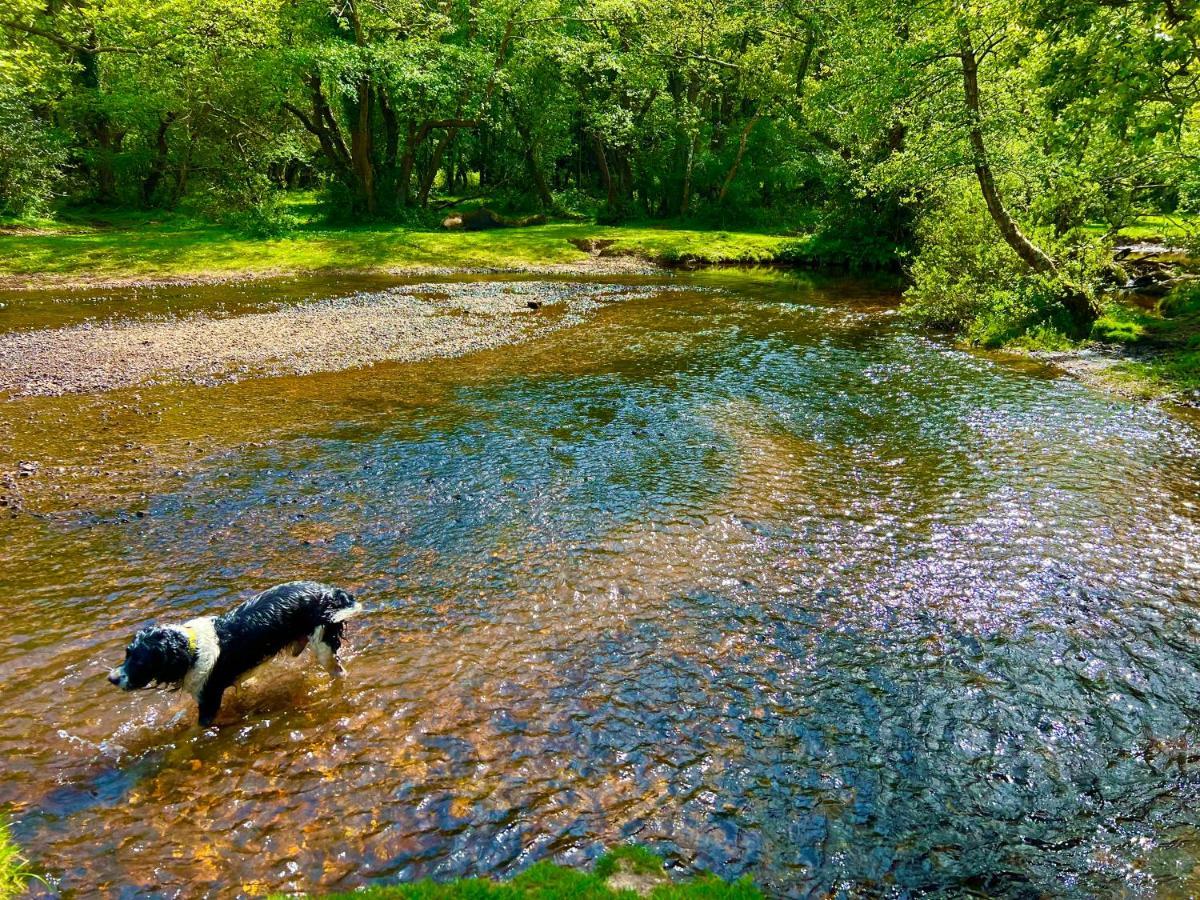 Forest Haven Sway Dış mekan fotoğraf